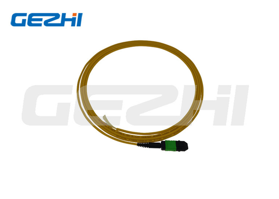 comprare SM 9/125 Mpo Lc Fibra ottica Pigtail Patchcord con e lunghezza personalizzata OEM online manufacture