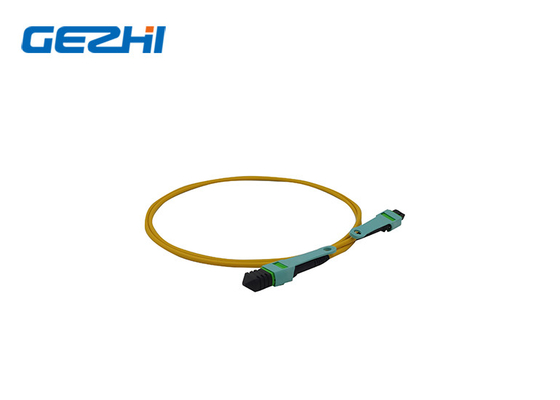 LC OM3/OM4 8/12/24f MPO/MTP Fibra ottica Patch Cord per Telecom / Data Center