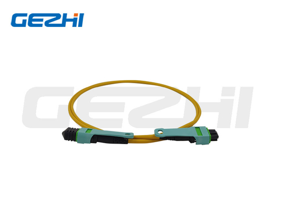 MTP / Mpo Patch Cord Trunk Cable 24 Core OS2