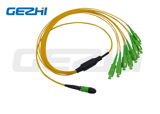 MTP/MPO Tronco Cabe 12 core/24 core/48 core/72 core/96 core/144 core OS2 Fibra Ottica Patch Cord